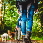 Eine Gruppe von Menschen und Hunden, die auf einem Waldweg spazieren gehen, von hinten auf Bodenhöhe betrachtet.