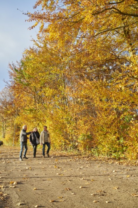 Drei Personen gehen einen Weg entlang, der von Bäumen mit leuchtend gelben und orangefarbenen Herbstblättern umgeben ist.